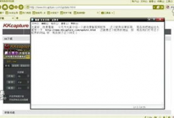 视频下载软件,揭秘热门视频下载软件功能与技巧