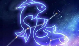 双鱼视频,探索梦幻与现实的交融之美